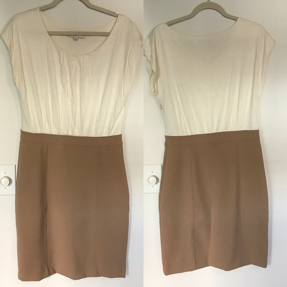 VGUC Loft blouse dress